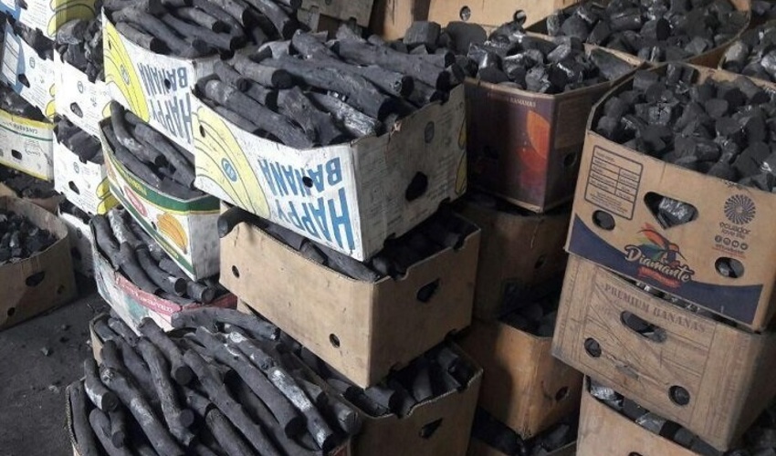 ۲ کارگاه غیرمجاز تولید زغال در استان قزوین شناسایی و پلمب شد