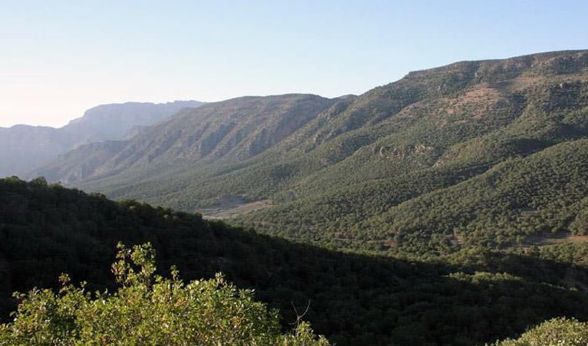 95 درصد اراضی ملی کرمانشاه سنددار شد