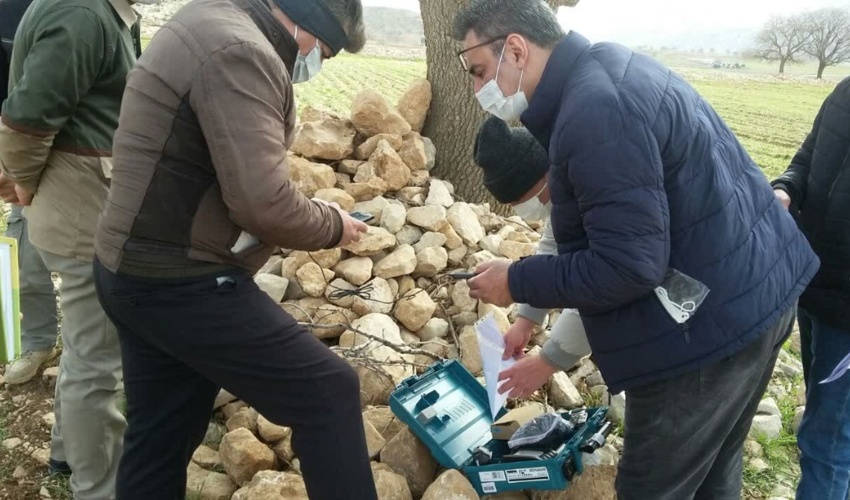 صدور شناسنامه الکترونیکی برای ۵۰ هکتار از درختان جنگلی زاگرس