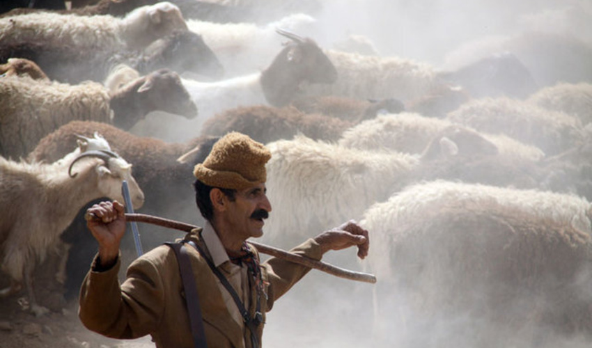 جلوگیری از کوچ زودهنگام به ییلاقات استان سمنان