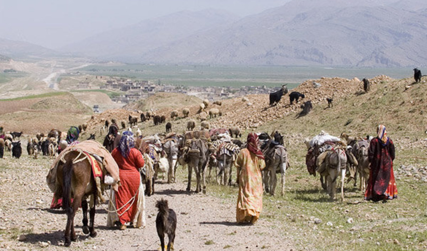 جلوگیری از ورود دام عشایر به مراتع اصفهان تا ۲۰ اردیبهشت‌ماه