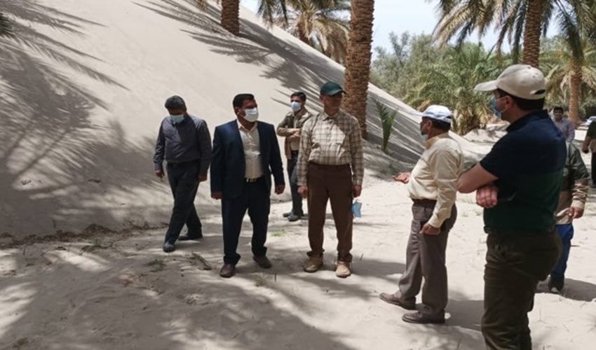 اختصاص ۳۰۰ میلیارد تومان اعتبار به کانون‌های بحرانی فرسایش بادی شرق کرمان