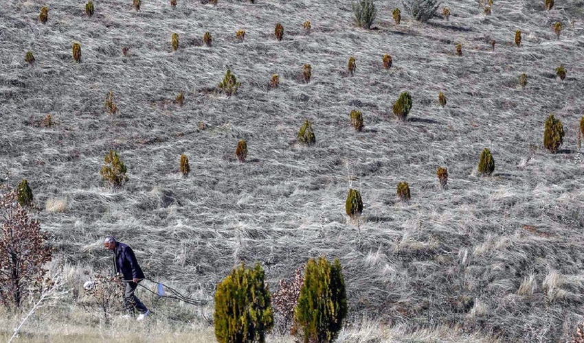 تشکیل 705 فقره پرونده تخریب و تصرف اراضی در اصفهان 