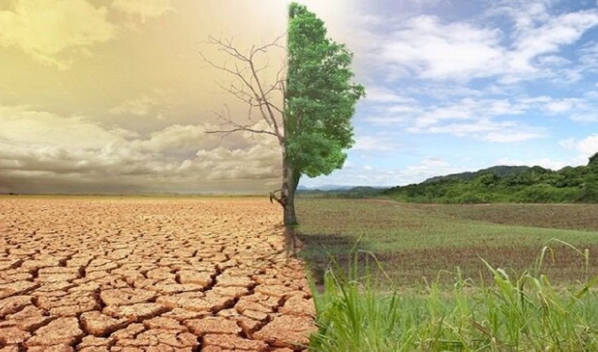 اختصاص 115 میلیارد تومان برای بیابان زدایی و احیای مراتع گلستان