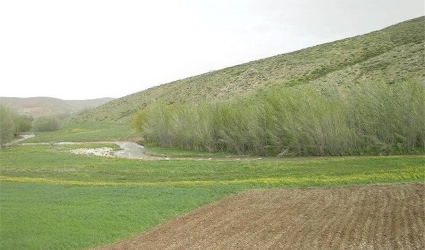 فارس/سند تک برگ برای بیش از 530 هکتار از اراضی ملی شهرستان خفر اخذ شد