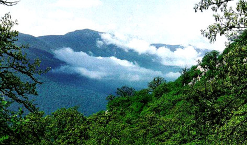 برگزاری پانزدهمین کنگره جهانی جنگلداری