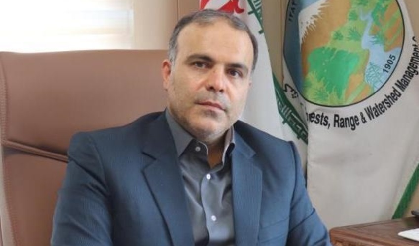 درآمد ۳۰۰ میلیارد تومانی از زراعت چوب در سال ۱۴۰۰