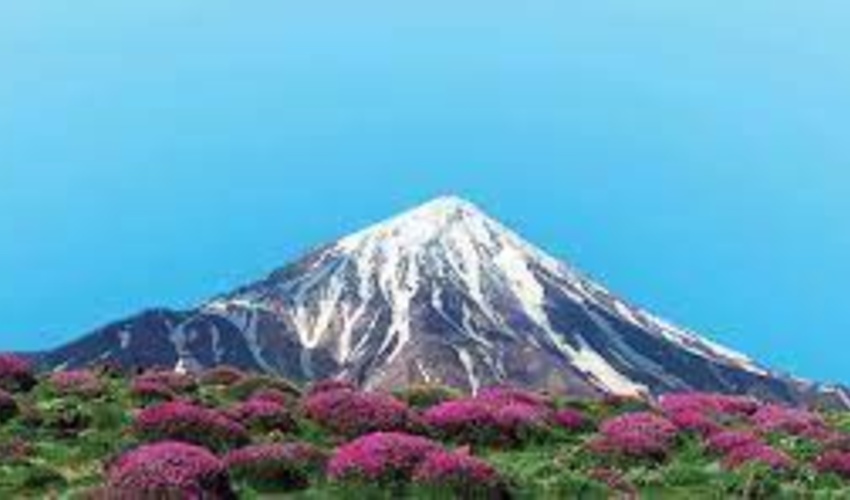 فراخوان مسابقه نقاشی « طبیعت سرزمین من »