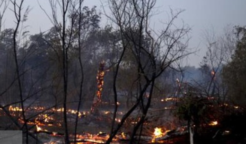 علت حریق‌ جنگل‌ها و مراتع خوزستان چیست؟