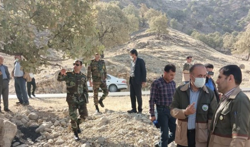 ابتلای ۶۰ هزار هکتار جنگل کهگیلویه و بویراحمد به آفت پروانه برگ خوار سفید و جوانه خوار بلوط