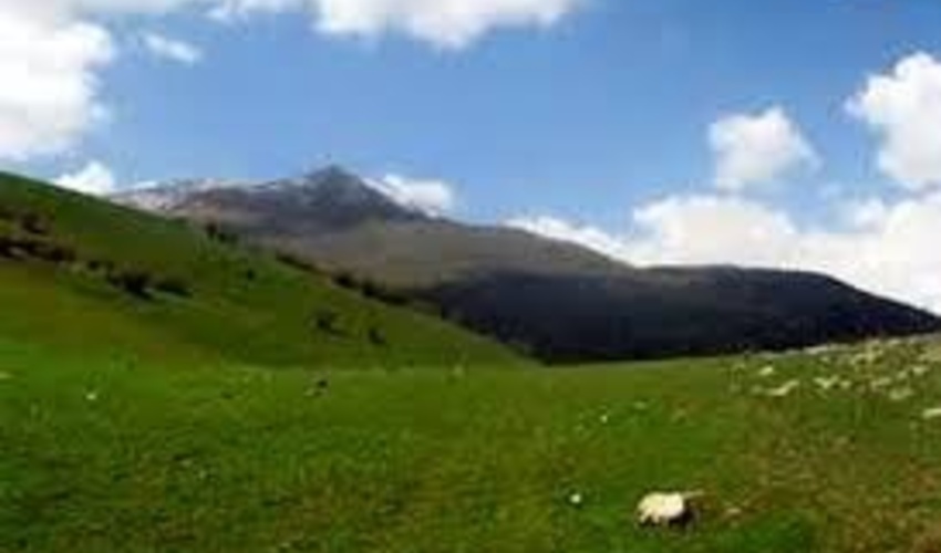 چهار هزار و ۸۰۰ هکتار از عرصه‌های طبیعی استان مرکزی از دست اندازی‌های غیرقانونی مصون ماند