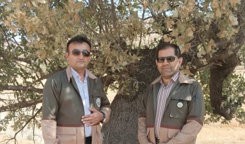 آموزش ۲۳۸ هزار نفر روز پیشگیری و کنترل حریق جنگل‌ها در کشور