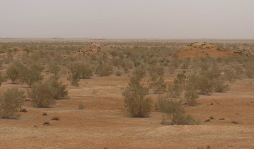 آران و بیدگل با اجرای طرح‌های بیابان زدایی الگویی موفق 