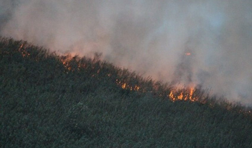 به‌کارگیری 36 دیده‌بان حریق در گلستان/ استقرار بالگرد اطفای حریق در گلستان دائمی باشد