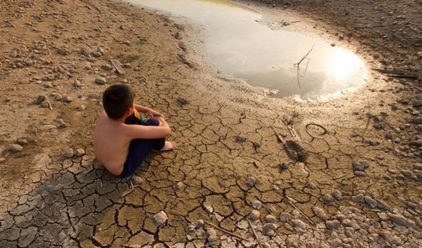 در سخت‌ترین دوران خشکسالی جهانی هستیم/ کاشت گیاهان بوته‌ای بومی با نیاز آبی کم در دستورکار