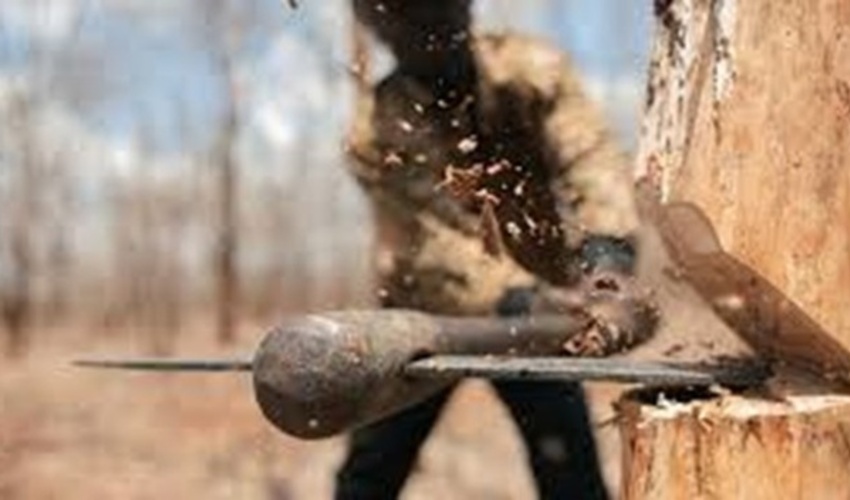 قطع‌کنندگان درختان جنگلی کرمانشاه 40 عدد اره برقی به منابع طبیعی تحویل دادند