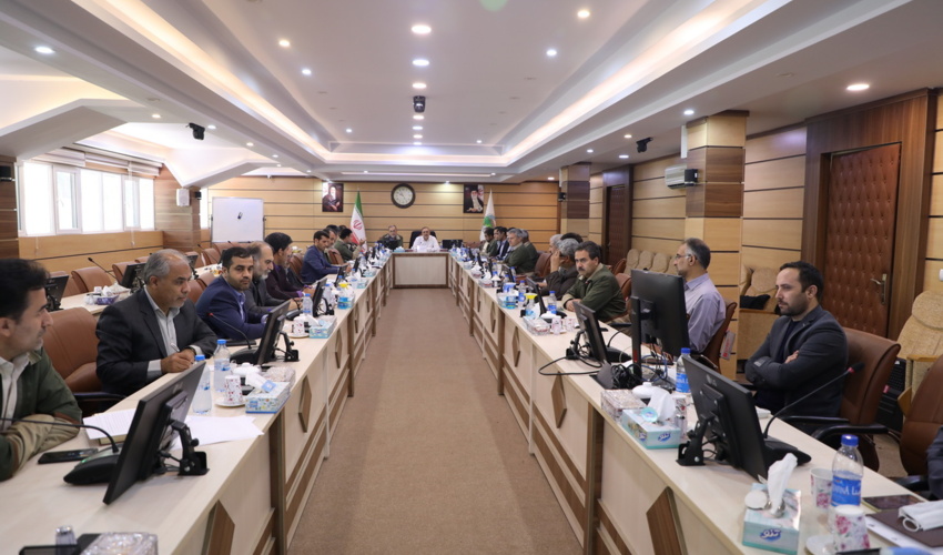 نشست مدیران عامل صندوق های حمایت از توسعه منابع طبیعی در سازمان 