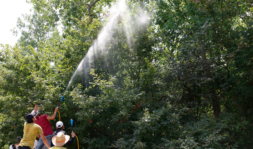 هشدار وقوع خطر آتش سوزی در مراتع و جنگل های آذربایجان غربی