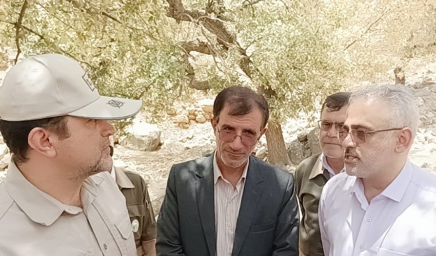 اختصاص ۱۶۸میلیارد ریال اعتبار برای مبارزه با پروانه برگ‌خوار سفید در کهگیلویه و بویراحمد 