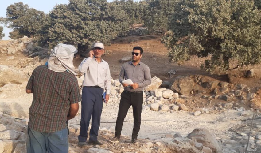 کهگیلویه و بویراحمد/ مبارزه با آفت درختان بلوط نیاز به عزم ملی دارد