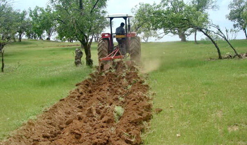 همدان/ایجاد 3 کیلومتر آتش بر در 5 روستای بحرانی اسدآباد