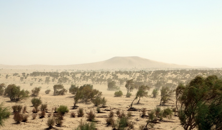 تداوم خشکسالی، مهمترین عامل افزایش شدت فرسایش بادی و تهدید امنیت غذایی