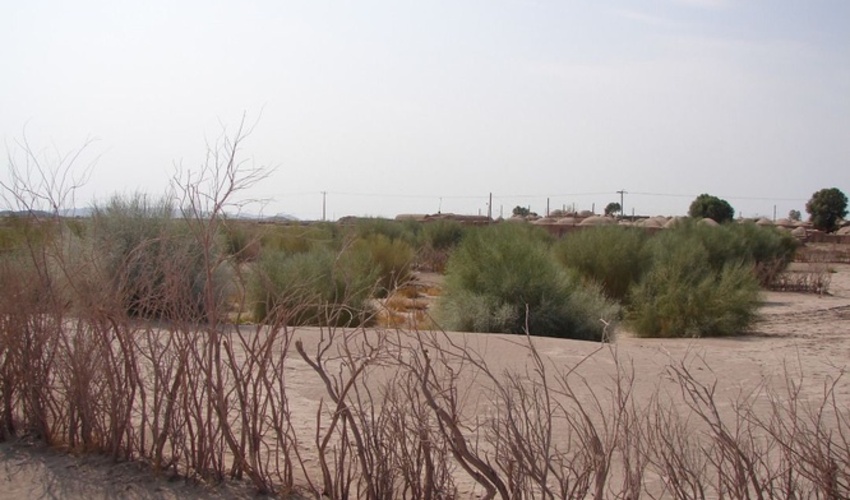 اجرای 958 کیلومتر بادشکن برای مهار فرسایش بادی در خراسان جنوبی