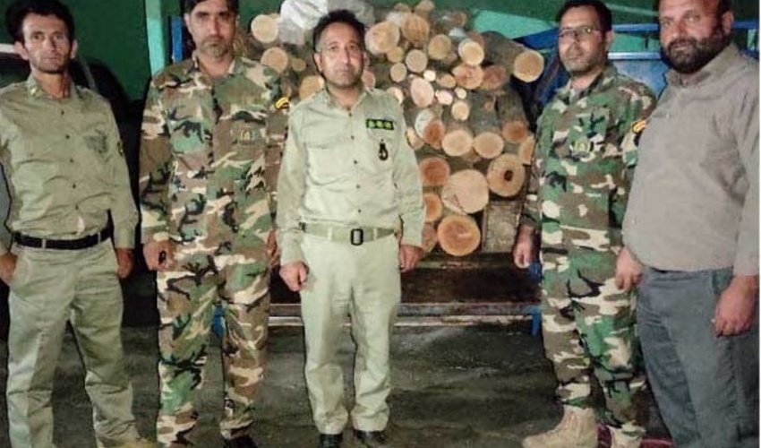 کشف و ضبط بیش از 2 تن چوب قاچاق در زنجان
