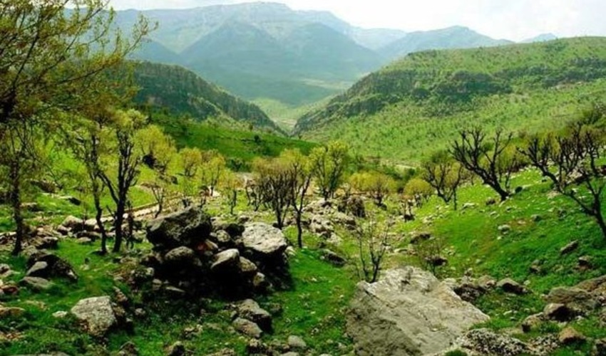 جلسه ستاد هماهنگی مدیریت جنگل های زاگرس برگزار شد