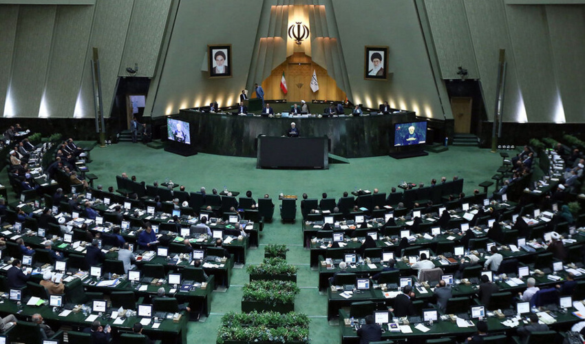 دیدار سرپرست سازمان منابع طبیعی با نمایندگان مجلس