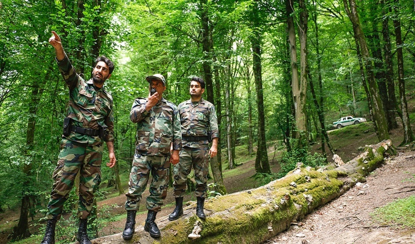 پیام سرپرست سازمان منابع طبیعی و آبخیزداری کشور به مناسبت روز جنگلبان