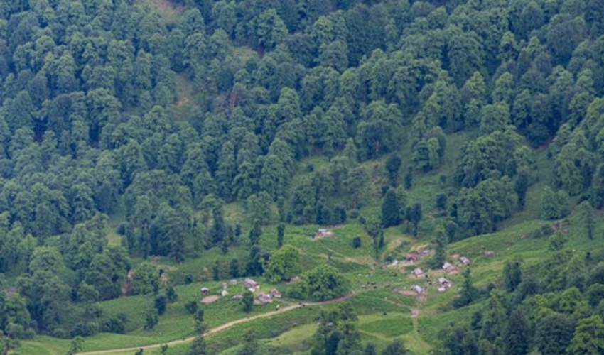 مدیرکل منابع طبیعی اردبیل: حفاظت از منابع طبیعی اردبیل بدون اغماض انجام می‌شود