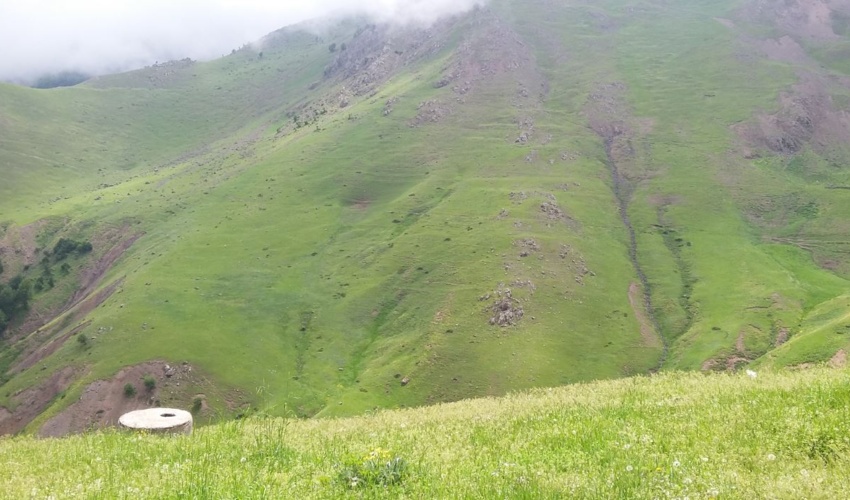 گیلان/اعلام زمان ابطال پروانه چرای مرتعداران و دامداران متوفی