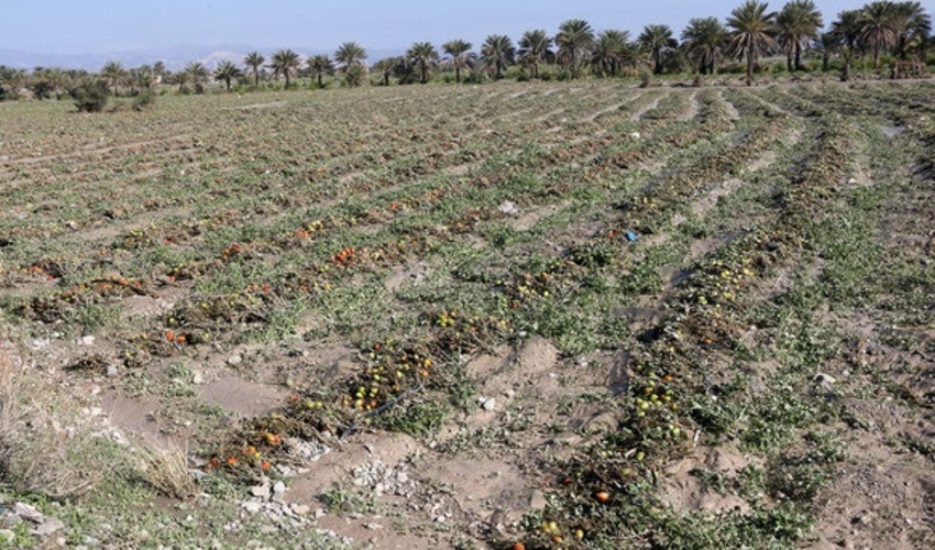 پرداخت 30 میلیارد تومان خسارت سیل به طور موقت به استان فارس