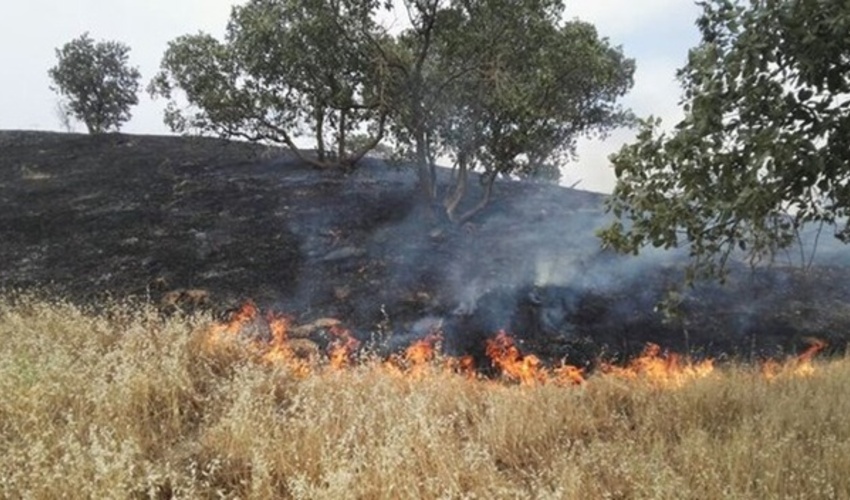 آتش سوزی در 153 هکتار از منابع طبیعی کردستان/کاهش 80 درصدی وقوع آتش سوزی منابع طبیعی در استان
