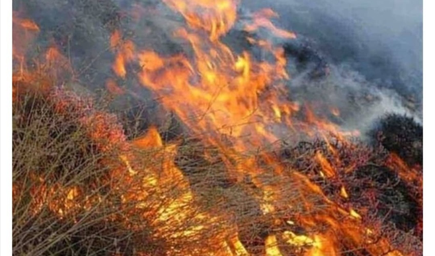 پیشگیری و کنترل آتش سوزی عرصه های منابع طبیعی استان همدان