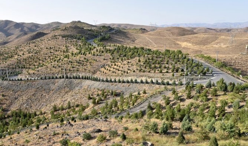 ایران در جمع برترین‌های درختکاری
