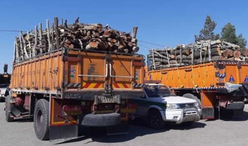 کشف بیش از 12 تن چوب قاچاق در چهارمحال‌ و بختیاری از ابتدای سال