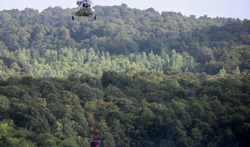 نوشهر/آتش سوزی جنگل کلاردشت مهار شد/ حدود یک هکتار عرصه جنگلی سوخت