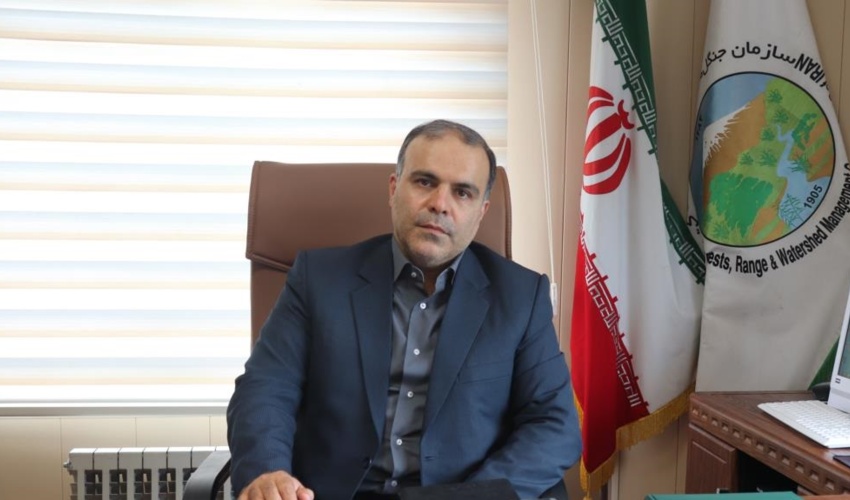 پایش جنگل های گیلان با 200 تیم حفاظتی/ تحقق 3300 هکتاری زراعت چوب