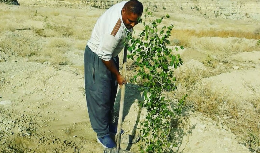 مرتعداری که فعل خواستن را بخوبی صرف کرده است