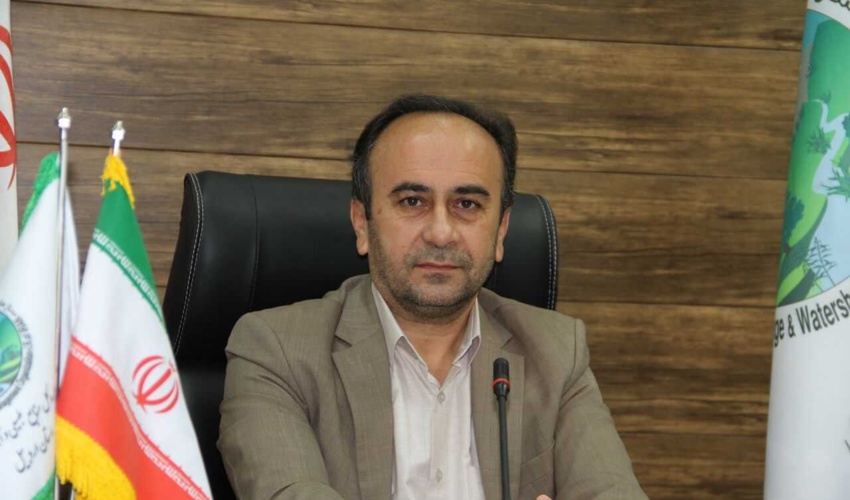 اردبیل/ درختان قطع شده بخشی از درختان مرکز تحقیقات کشاورزی پارس‌آباد بود