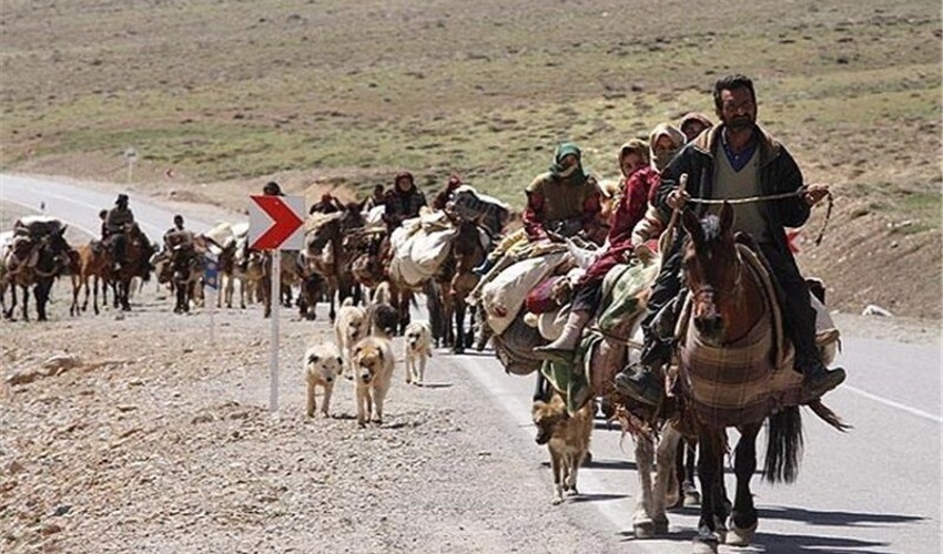 تاکید مدیر کل دفتر مرتع بر تشکیل شورای ملی کوچ 