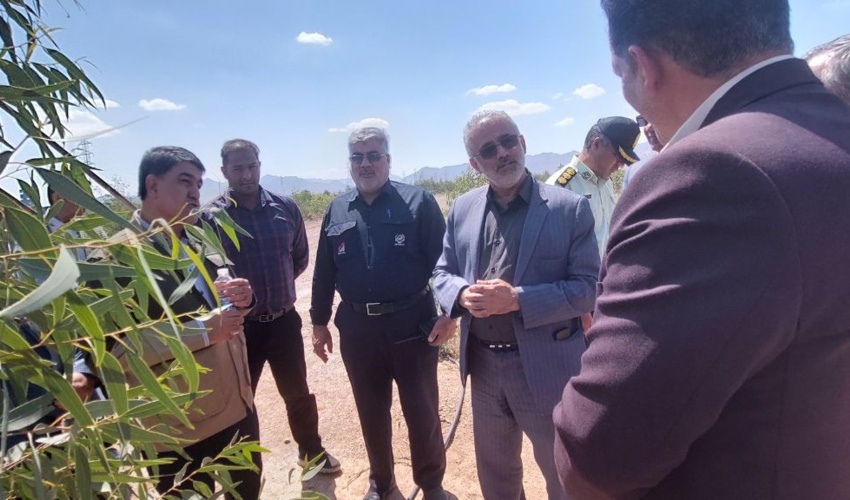 بازدید سرپرست سازمان منابع‌طبیعی کشور از طرح 130 هکتاری زراعت چوب در استان کرمان