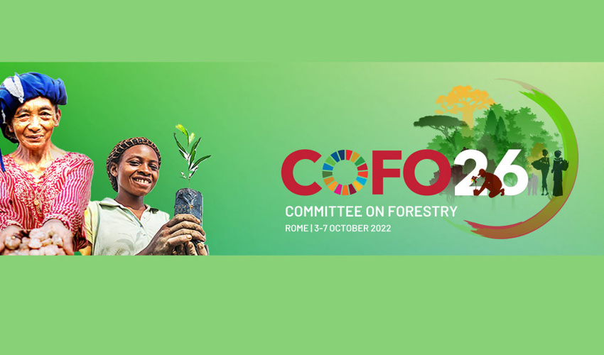 برگزاری بیست و ششمین نشست کمیته جنگلداری فائو در ایتالیا