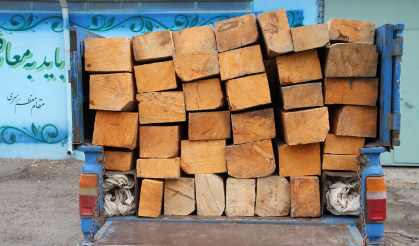 کشف 82 اصله الوار قاچاق جنگلی در استان اردبیل