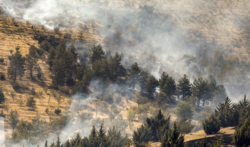 بیش از 6 هزار گزارش مردمی تخریب عرصه‌های طبیعی در کردستان ثبت شد