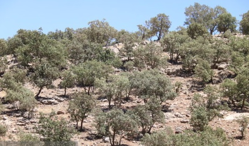 لرستان/پاسگاه حفاظتی در منطقه «بسطام» احداث می‌شود