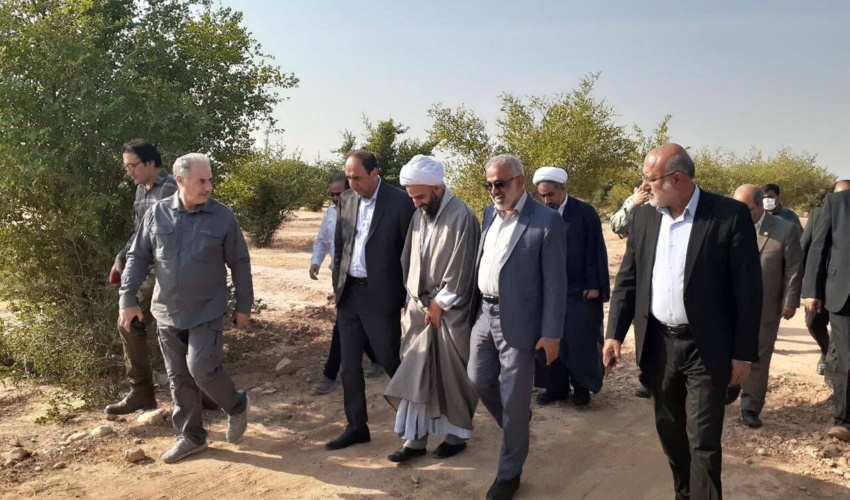 فعالیت 126 نهالستان منابع‌طبیعی در کشور