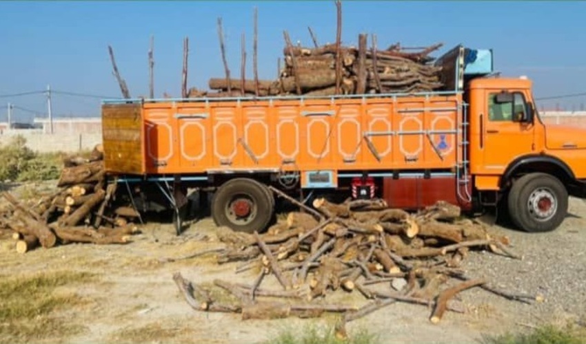 جنوب کرمان/کشف و ضبط ۱٠ تُن چوب بدون مجوز حمل در شهرستان فاریاب